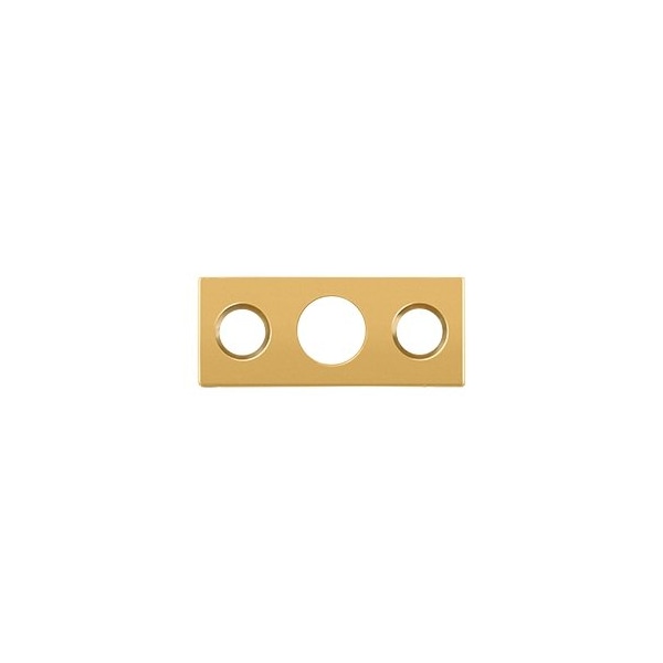 Solid Brass Strike Plate For 7 Flush Bolt, PVD Polished Brass Finish, 10PK